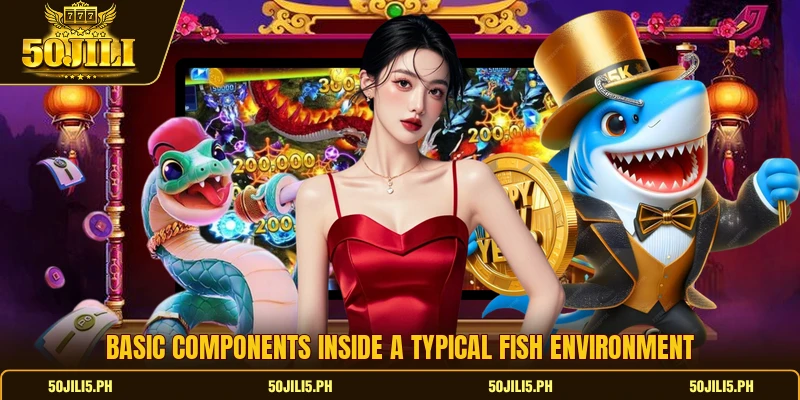 Basic components inside a typical fish environment Basic components inside a typical fish environment
