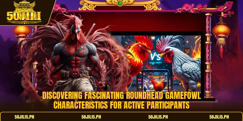 Discovering fascinating roundhead gamefowl characteristics for active participants