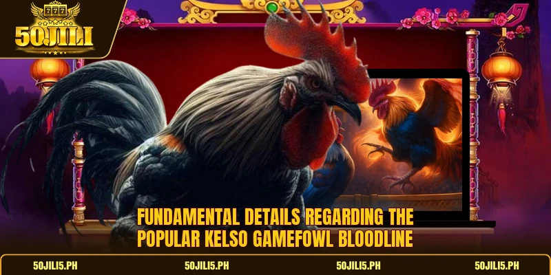 Fundamental details regarding the popular kelso gamefowl bloodline