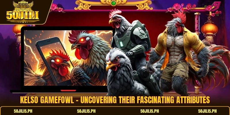 Kelso Gamefowl - Uncovering Their Fascinating Attributes