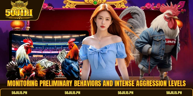 Monitoring preliminary behaviors and intense aggression levels