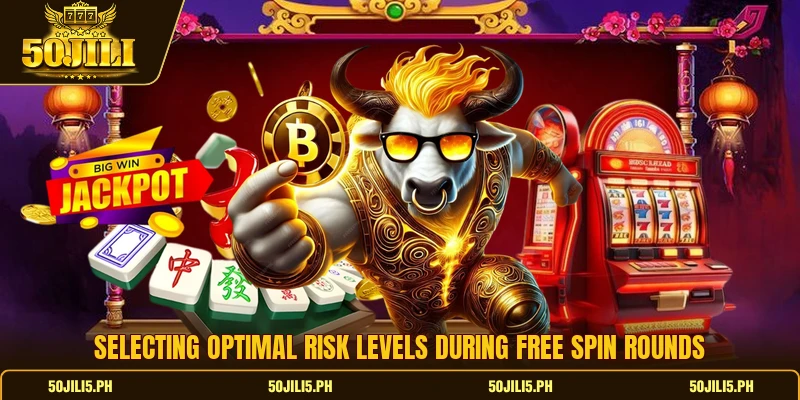 Selecting optimal risk levels during free spin rounds
